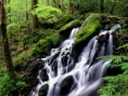 /album/photo-gallery-nature/after-the-rain-tremont-area-great-smoky-mountains-national-park-tennessee-jpg/